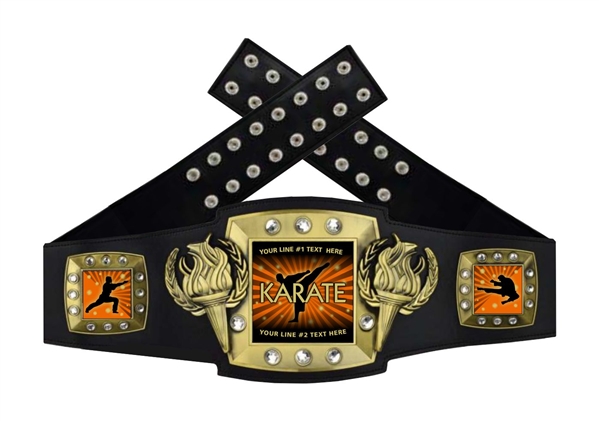 Championship karate outlets belt